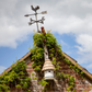 Dovecote Nest Box