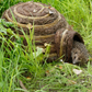 Igloo Hedgehog Home