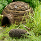 Igloo Hedgehog Home