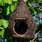 Giant Robin Nest Pocket