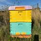 Langstroth Thermo Beehive