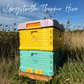 Langstroth Thermo Beehive