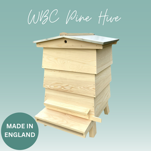 WBC Hive - Pine