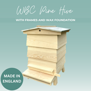 WBC Hive With Frames & Foundation - Pine