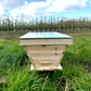 Top Bar Pine Hive