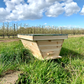 Top Bar Pine Hive