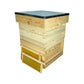 National Complete Hive Kit with Frames & Premium Wax Foundation - Pine