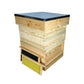 National Complete Hive Kit with Frames & Plastic Foundation - Pine